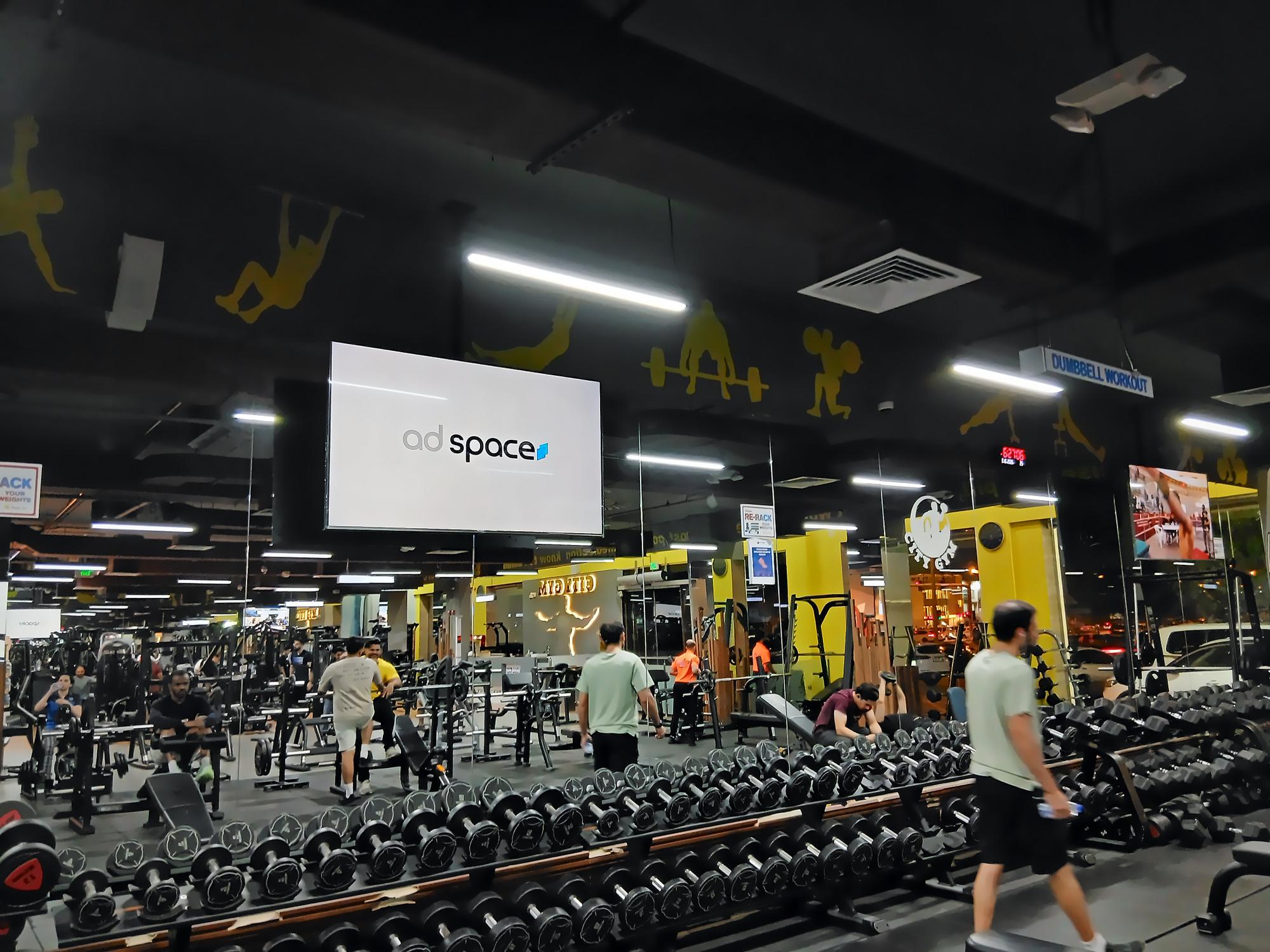 New City Gym Elite, photo 1